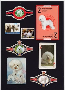 BICHON FRISE SET BERITTENER HUND SAMMELKARTEN BRIEFMARKEN UND BÄNDER - Bild 1 von 1
