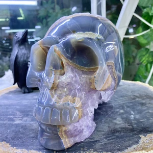 8,8 lb Ágata Natural Pulida Tallada Calavera Cristal Decoración Espiritual- - Imagen 1 de 24