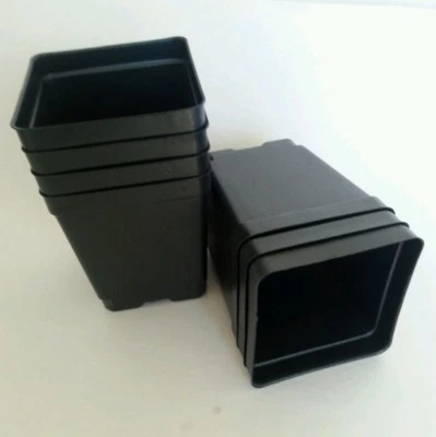 LANDMARK Quart 4.25" SQUARE DEEP PLASTIC NURSERY POTS - SET OF 50 - {4.2" x 4.9"} flower