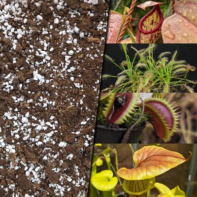 EIGENMARKE (0,80€/l) 10 Liter Karnivorenerde für fleischfressende Pflanzen Substrat Torf