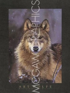 LODGE ART PRINT Woodland Pride, Montana (Wolf) Art Wolfe - Picture 1 of 1