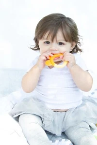 5x Silicone BPA Free Fruit Shape Baby Teething Toys - Picture 1 of 11