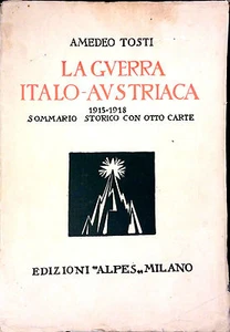 DER ITALIENISCH-ÖSTERREICHISCHE KRIEG 1915-1918 HISTORISCHE ZUSAMMENFASSUNG MIT 8 GERÖSTETEN AMADEO KARTEN - Bild 1 von 1
