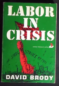 Labor In Crisis: The Steel Strike of 1919 David Brody 1965 PBk 2nd Printing VG+ - Imagen 1 de 2