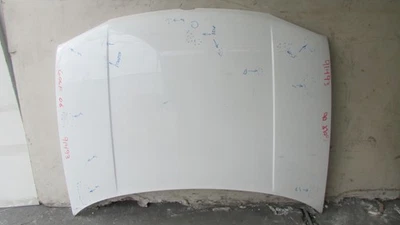 Volkswagen Golf 2006-2007 capó delantero OEM 91493 Foto 1 de 4