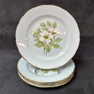 Vintage selten Paragon schwimmende Wildrose Hartriegel weiße Blumen Salatteller 7 Zoll - Bild 1 von 12