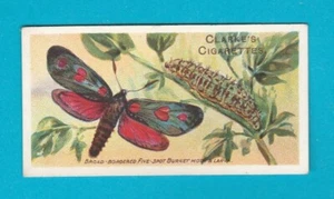 MARIPOSAS Y POLILLAS - TARJETA NO. 32 - Mundial. CLARKE & SON - 1912 - Imagen 1 de 2