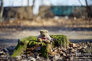 PENTACON 50/1.8 Multi Coating | M42 | Fully functional | SAMPLES - Picture 1 of 15