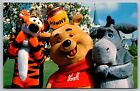 Walt Disney World Florida Tigger Pooh & Eeyore Amusement Park Chrome Postcard