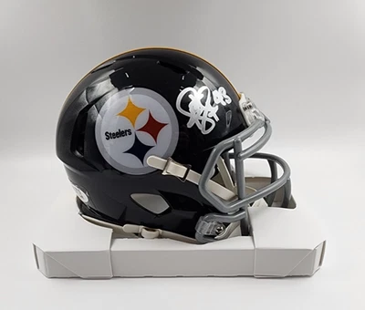 TROY POLAMALU Signed Pittsburgh Steelers NFL Riddell Mini Helmet COA - Image 1 of 4