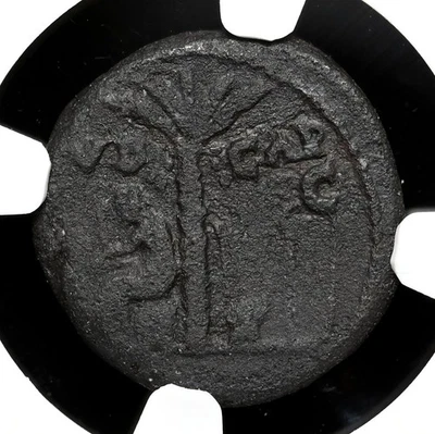 IMPERIO ROMANO. Tito, 79-81 d.C. Æ Semis, IVD CAP, Judaea Capta, NGC Choice Fine Foto 1 de 4