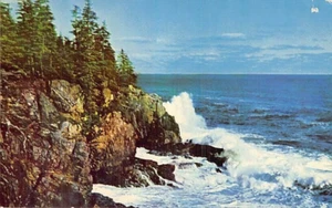 Postkarte ICH: Otter Cliff, Shore Line Drive, Bar Harbor, Maine - Bild 1 von 2