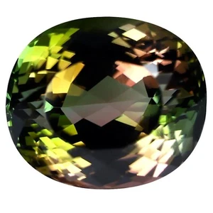 Certified 50.35 Ct Natural Bi-Color Tourmaline Oval Cut Loose Gemstone New Look - Picture 1 of 2