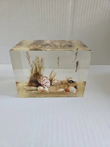 Vintage Lucite 3D Under-the-Sea Scene with Sea Animals, Starfish and Shells - Picture 1 of 11