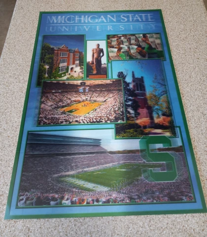 NEW NCAA Michigan State Spartans University 3D Poster Campus Football 16X24 Cover