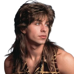 Mullet Wigs for Men,Joe Dirt,Emo Wig 80s 90s Costumes Fancy Party m2057-Brown - Picture 1 of 8