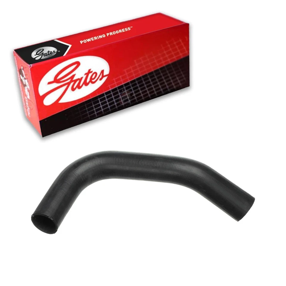 Manguera inferior de refrigerante de radiador Gates para camioneta Chevrolet C10 1963-1966 Foto 1 de 3