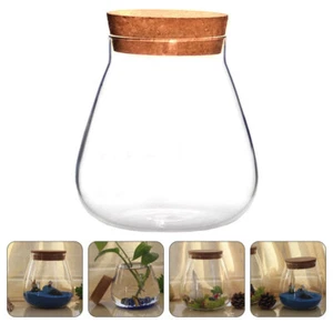 Glass Bottle Ornaments Plant Vase with Cork Moss Ball Travel Miss - Picture 1 of 12