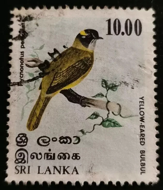 Sri Lanka: 1979 Birds 10.00 R. (Collectible Stamp). - Image 1 of 1