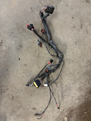 ARCTIC CAT 2009 08 10 Bearcat LXR consola capó arnés cableado tablero TZ1 Z1 Turbo Foto 1 de 3