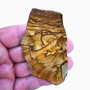 Old Stock Biggs Picture Jasper Slab  Lapidary Stone Slab - Picture 1 of 3
