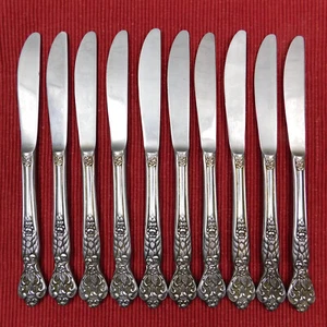 LOT OF 10 Dinner Knives VERSAILLES by MSI Stainless Japan LIGHT USE 8 7/8" - Picture 1 of 12