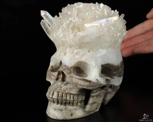 Rainbow 5.1" Rainbow Aura Titanium Quartz Druse Carved Crystal Skull, Healing - Picture 1 of 9