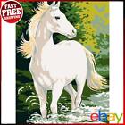 DIY Digital Oil Painting By Numbers Kits Horse Crossing River Wall Art Gift ✅