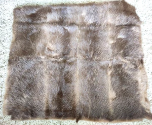 Pelzdecke -Tafel hellbraun gefärbt 63 x 55 cm - Bild 1 von 5