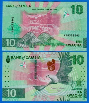 Zambia 10 Kwacha 2025 P-62  UNC Banknote - Eagle / Scaly Anteater - New Design Foto 1 de 3