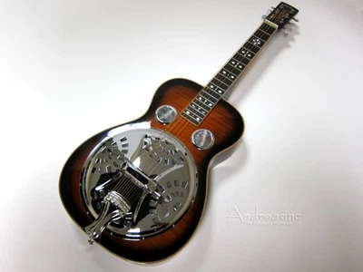 Guitarra Resonadora Paul Beard Cuello Cuadrado con Estuche Rígido - PBS-D Foto 1 de 4