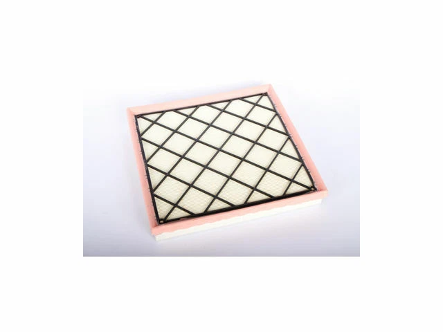 Filtro de aire profesional AC Delco para Buick Cascada 2016-2019 35RMFV Foto 1 de 1