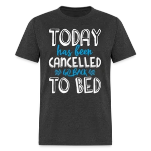 Today Has Been Cancelled Go Back To Bed T-Shirt - Picture 1 of 34