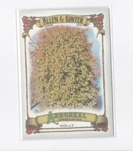 TARJETA INSERTADA DE APRECIACIÓN ARBÓREA HOLLY 2021 ALLEN & GINTER - SE ENVÍA GRATIS - Imagen 1 de 21