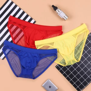 Para Hombres Sexy Malla Transparente Calzoncillos Cintura Baja U Bolsa Ropa Interior Lencería Bragas P - Imagen 1 de 24