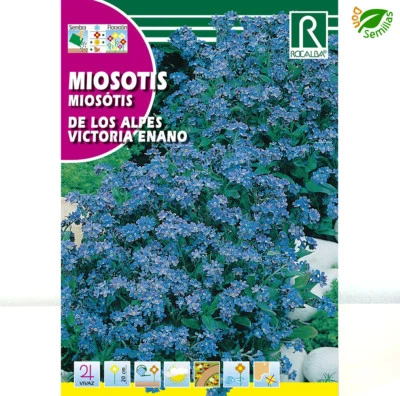 ROCALBA Miosotis Azul * No me olvides (Myosotis alpestris) 0,2 gr / 300 semillas flores