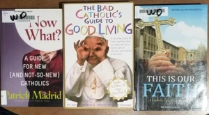 Lot Of 3 Books On Catholicism This Is Our Faith Now What? A Guide Of New And Old - Imagen 1 de 8