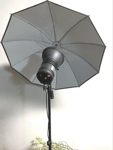 Comet CT-300 Mini Studio Strobe Flash with Stand & Umbrella Reflector, Tested - Picture 1 of 6