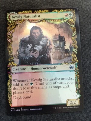Kessig Naturalist - Showcase - Foil - MID - NM Unplayed - EN - 310 - Image 1 of 2