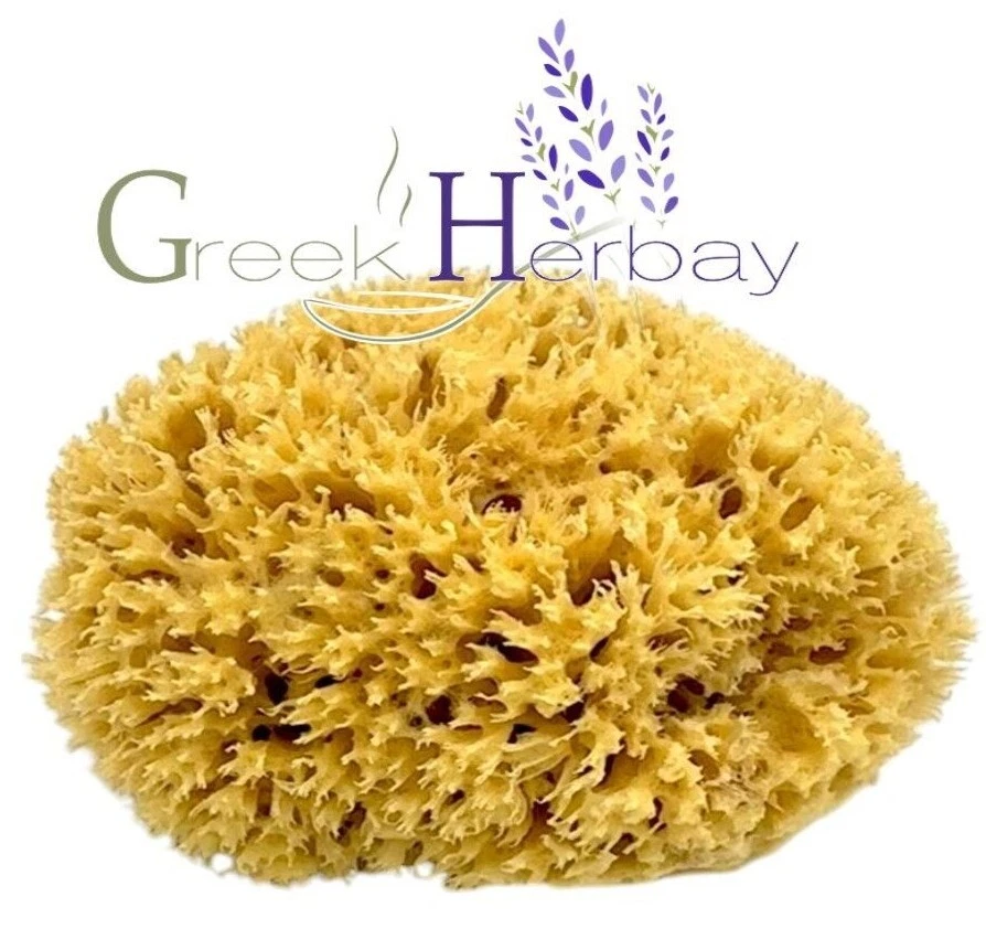 Натуральная высушенная греческая морская губка неотбеленная 5,0–5,50 дюйма (12–14 см) Kalymnos Sea - Изображение 1 из 2