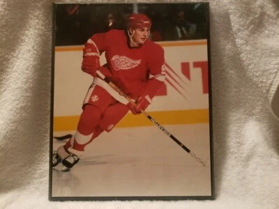 谢尔盖·费多罗夫 8 x 10 底特律红翼照片牌正品 90 年代曲棍球 — 第 1/4 张图片