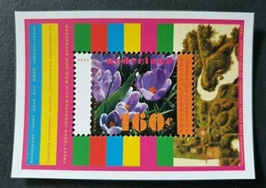 Hojas de los Países Bajos 1996 Nederland naturaleza y medio ambiente flores flores flores en muy buen estado casi nuevo - Imagen 1 de 1