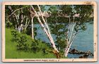 Carte postale Greetings Rocky Point Long Island New York Waterfront Canel 1945 WOB PM