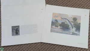 1986 CCA CONSERVATION PRINT BY JOHN P. COWAN - DOES NOT HAVE THE STAMP - Picture 1 of 4