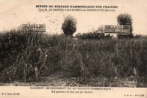 CPA Publicitaire - Effets du Sulfate d'ammoniaque sur Prairies, rendement - Picture 1 of 2
