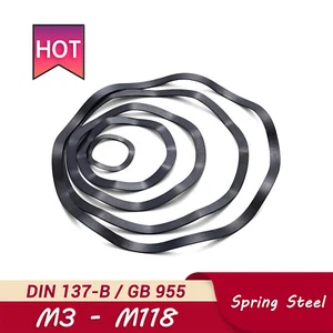 Crinkle Washers Spring Steel M3 M4 M5 M6 M8 M10 M12 M16 M19 - M118 Wave Wavey - Picture 1 of 6