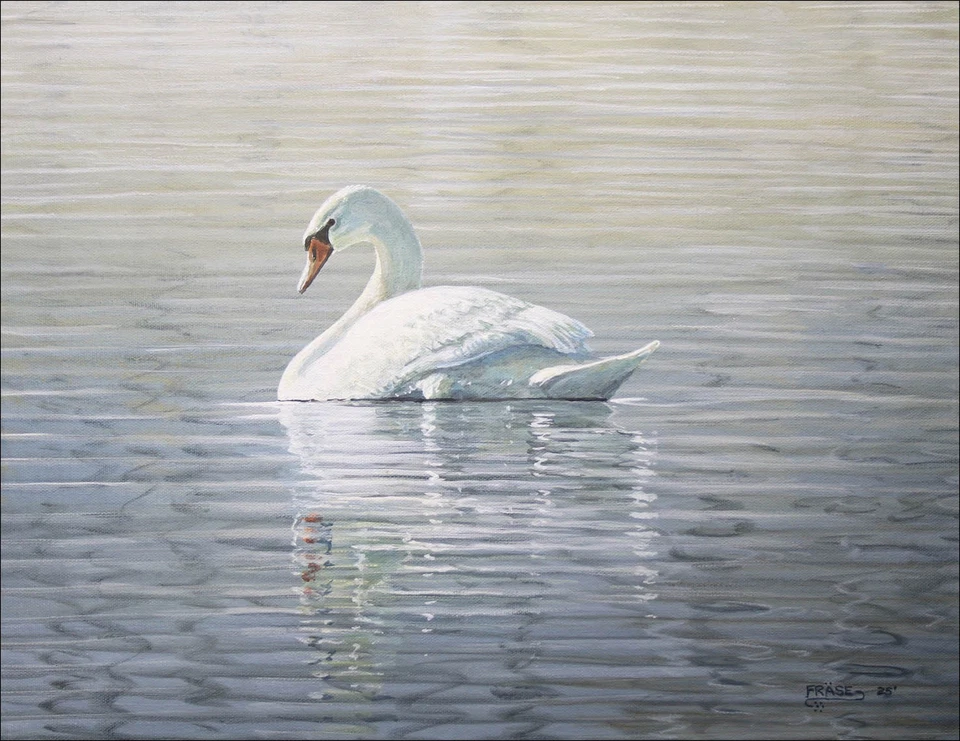 FRASE ORIGINAL PAINTING MUTE SWAN  WILDLIFE BIRD ART Duck Stamp Artist Realism - Image 1 of 1