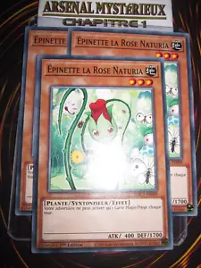 YU-GI-OH! PLAYSET (LOT DE 3) EPINETTE LA ROSE NATURIA HAC1-FR099 EDITION 1 - Bild 1 von 1