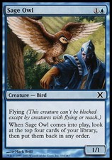 MTG Sage Owl-Owl Wise Tenth Edition Excellent foil