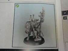 Warhammer 40k Necrons Overlord - from Indomitus set, NEW